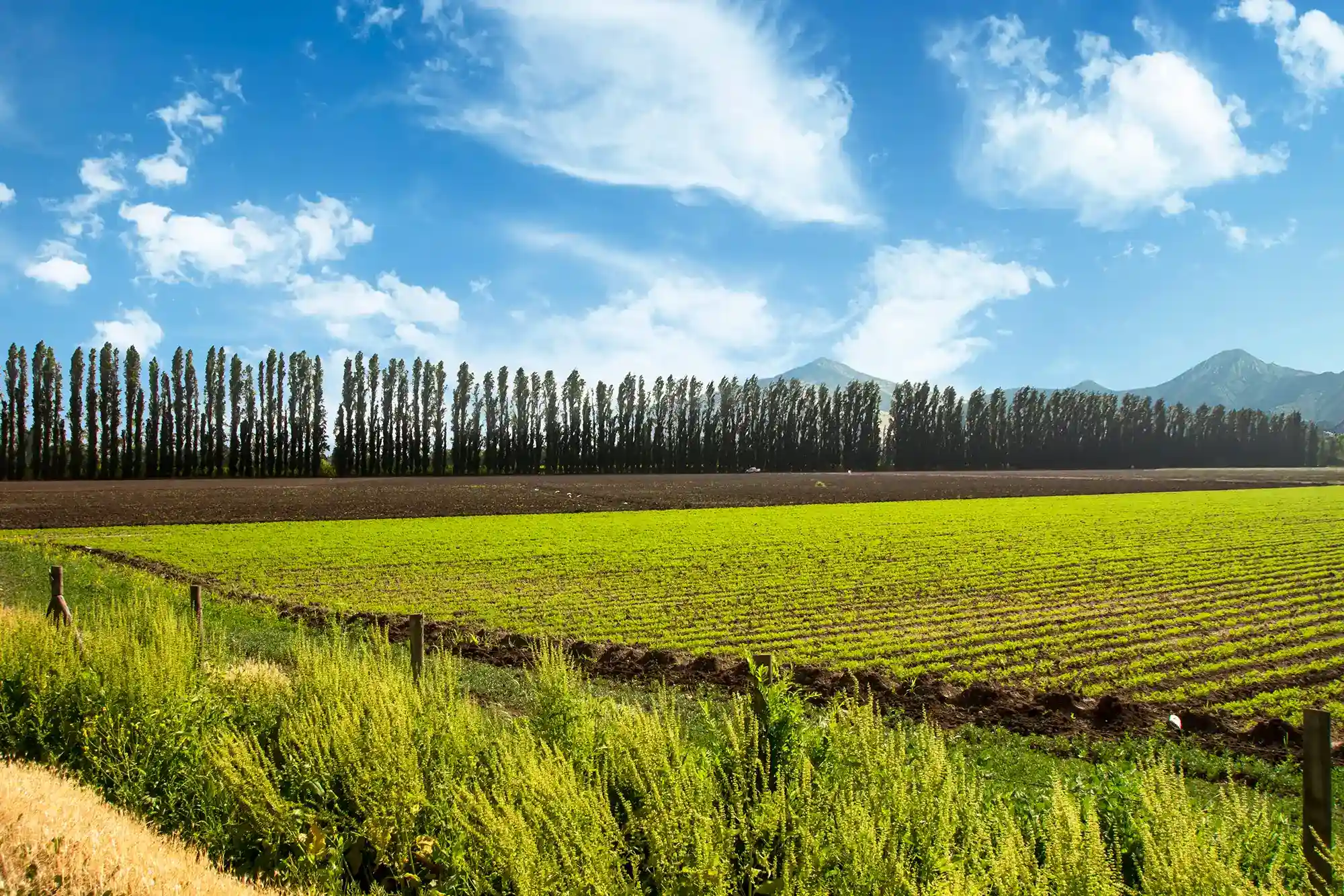 Entorno del Proyecto